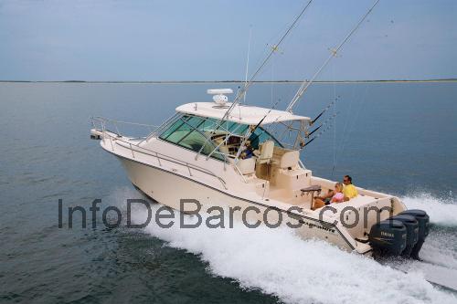 Grady White 370 opinión y ficha técnica